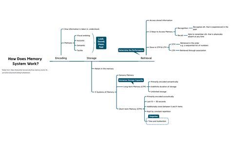 How Does Memory System Work - XMind - Mind Mapping Software
