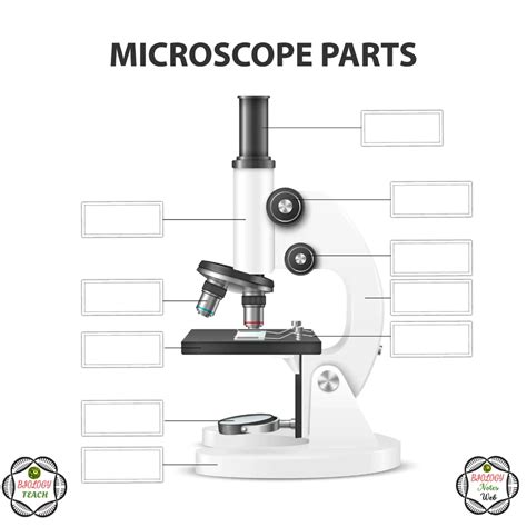 Image result for Parts and Function of Microscope Worksheet