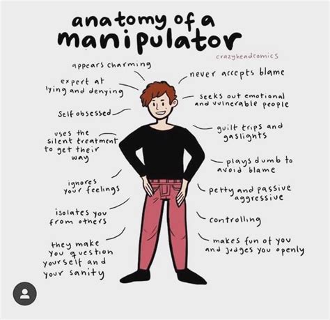 Image result for Manipulation Meme