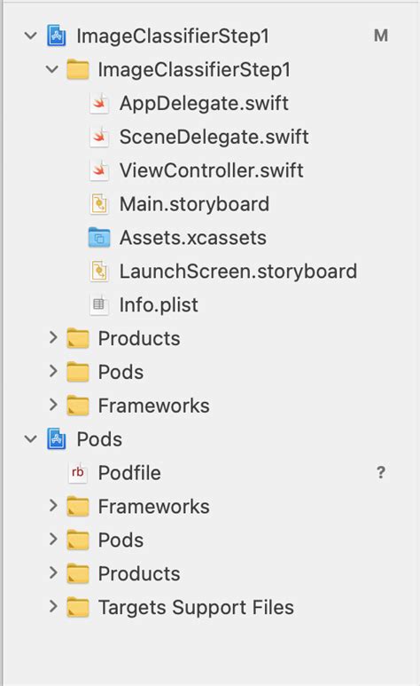 Image result for Computer Vision iOS Application