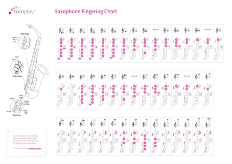 Toradh íomhá ar Saxophone Multiphonics Chart