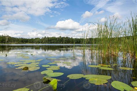 Latvian lake landscapes in summer 17108806 Stock Photo at Vecteezy