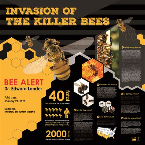 Image result for Creative Informative Poster Designs