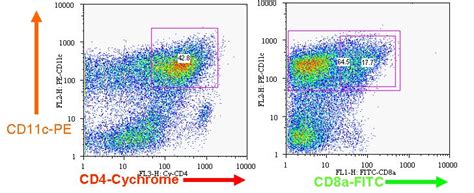 Image result for Intracellular Calcium Flow Cytometry