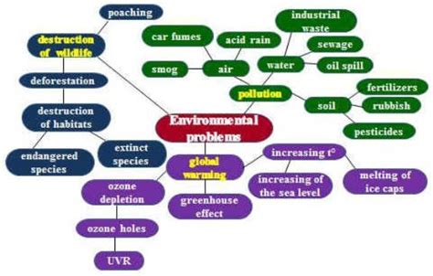 Image result for Problem Web for Environment