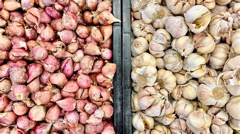 Image result for Growing Garlic From Seed Heads