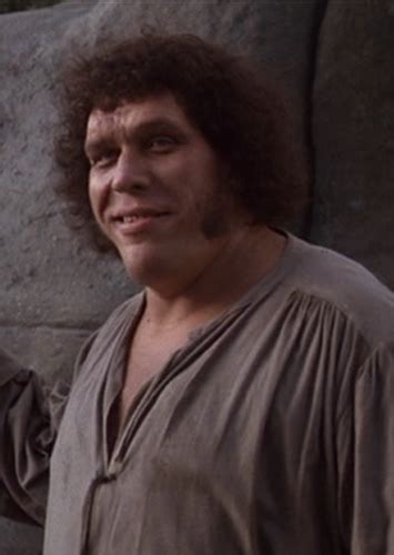 Image result for Fezzik Princess Bride Rock