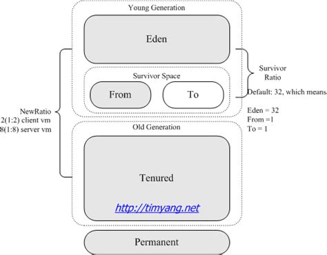 Image result for Eden Memory in Java Explain with Example