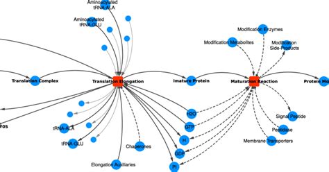 Protein Maturation Process માટે ઇમેજ પરિણામ