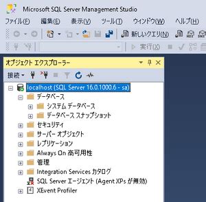 SQL Developer SQL Server に対する画像結果