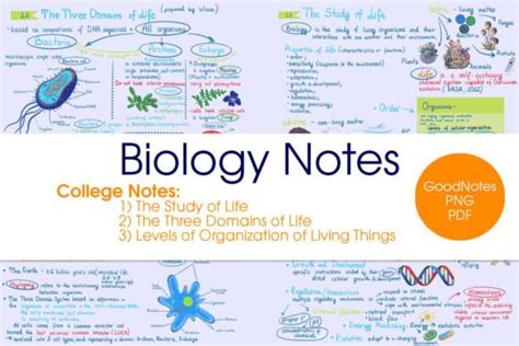 Image result for Beatiful Science Notes