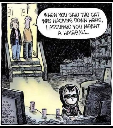 Netcat Hacking Meme に対する画像結果