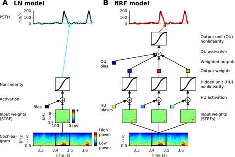 Linear Nonlinear Model に対する画像結果