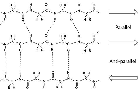 Parallel Arthimatic Structure に対する画像結果