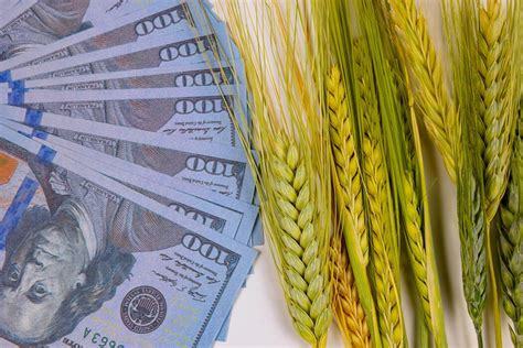 Exploding Inflation に対する画像結果