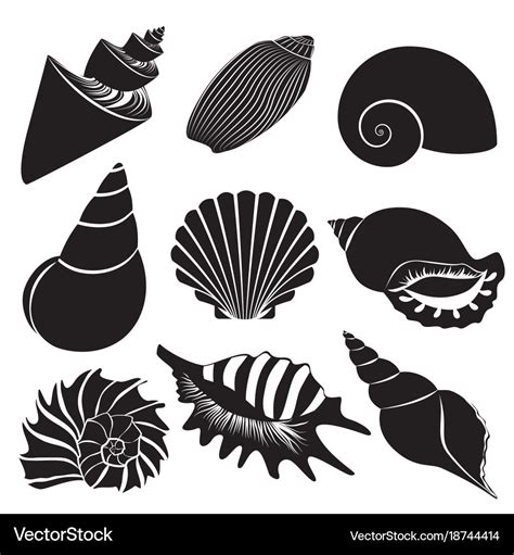 Image result for Shells Vector