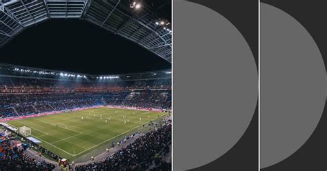 Image result for 3 Foot Ball Python