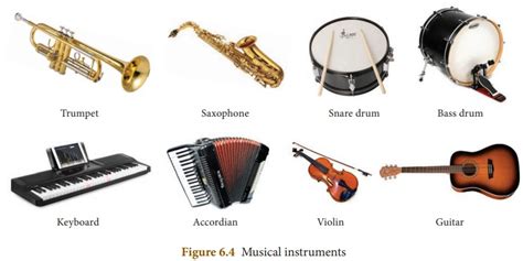 Image result for Sound Instruments