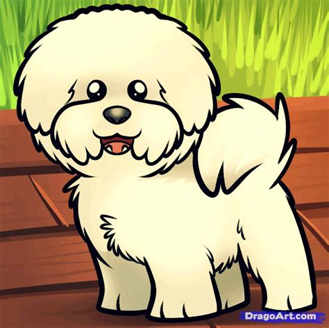Toradh íomhá ar Bichon Drawing