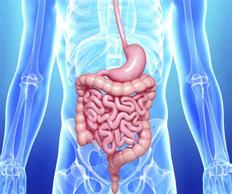 Image result for Poop System