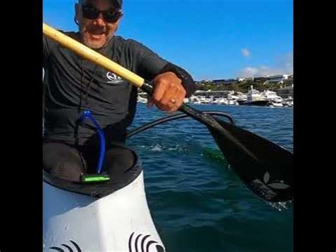 Image result for Timi Vaa