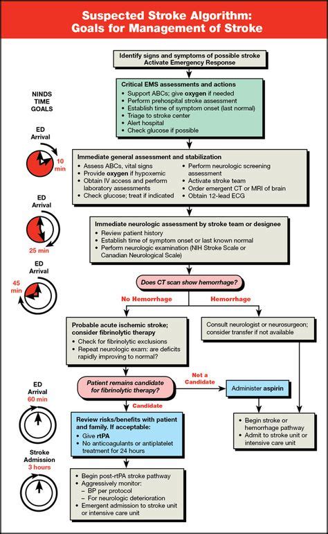 Image result for Stroke Medication Treatment Algorithm
