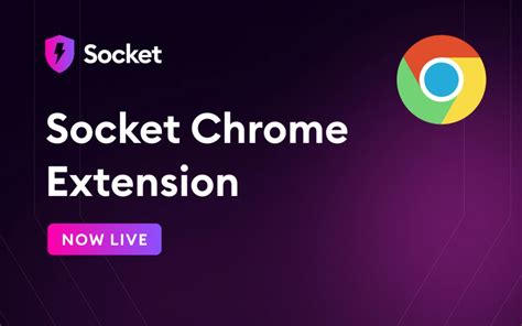 Image result for Socket Extension