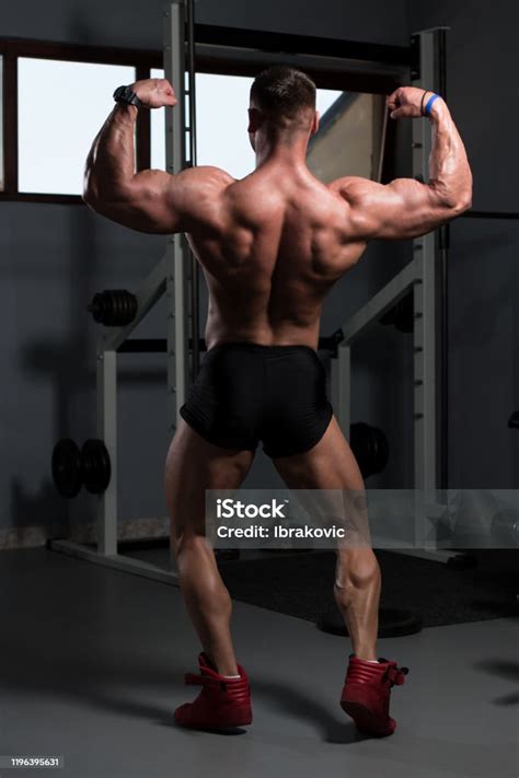 Bodybuilder Standing-এর ছবি ফলাফল
