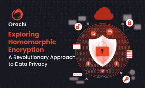 Image result for Homomorphic Encryption Image Logo Design