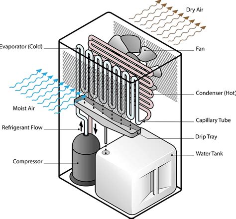 Toradh íomhá ar How to Operate a Dehumidifier