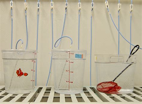 Image result for Bucket Liquid Transfer System