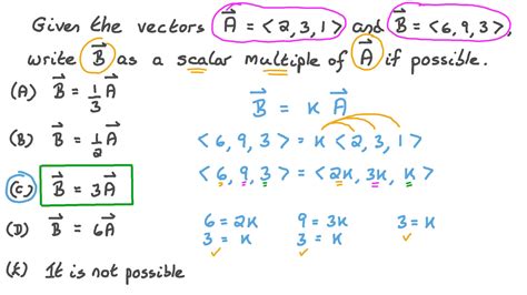 Image result for Vector Multiplication