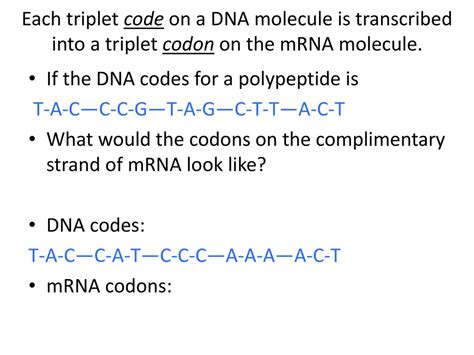 Image result for Triplet Codons