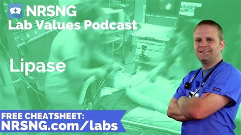 Image result for Lipase Levels Chart