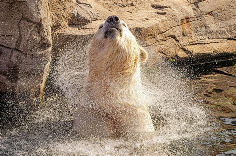 Afbeeldingsresultaten voor Tough Patterns Python