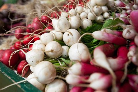 Afbeeldingsresultaten voor Turnip Time