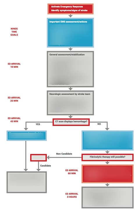 Afbeeldingsresultaten voor Adult Stroke Algorithm