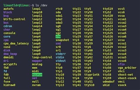 Image result for Dev Directory in Linux
