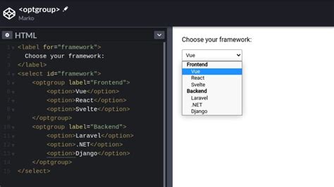 Image result for Option Group HTML