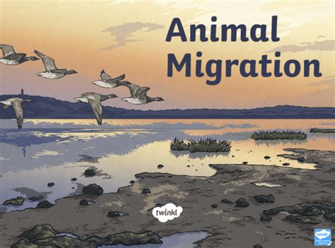 Image result for Behavioral Adaptation Examples