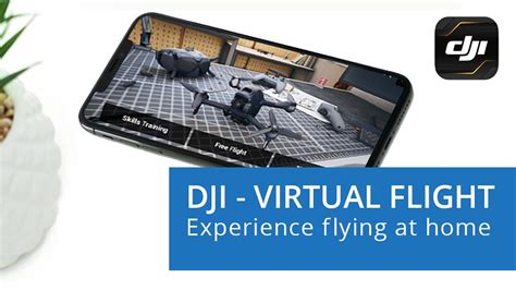 Image result for dji Virtual flight app
