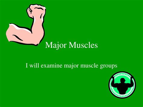 Toradh íomhá ar Notch 2 in Skeletal Muscle Function