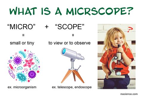 Image result for Compound Microscope Principle