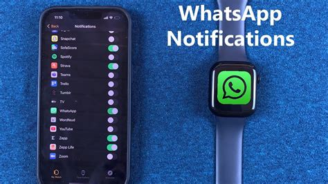 Image result for How to Get Whats App On My Apple Watch