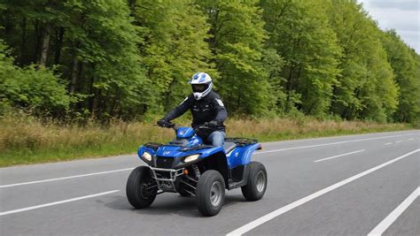 Image result for Course Quad Sur Route