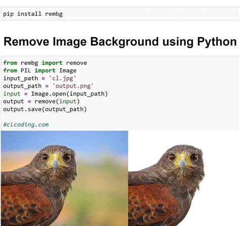 Get Rid of an Image Shadows with White Background Using Python に対する画像結果