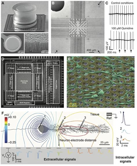 Utah Microelectrode Array に対する画像結果