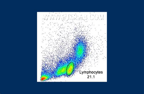Image result for Flow Cytometry Gating