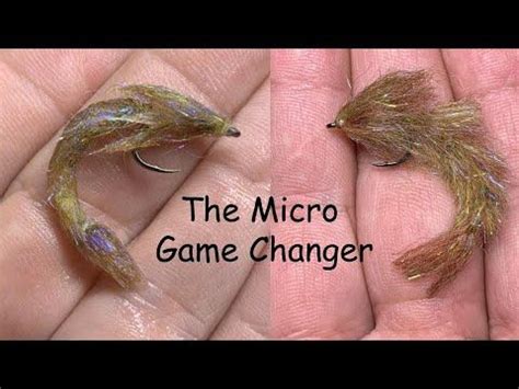 Image result for Micro GameChanger Fly
