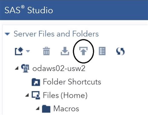 Image result for SAS Syntax to Call in Data